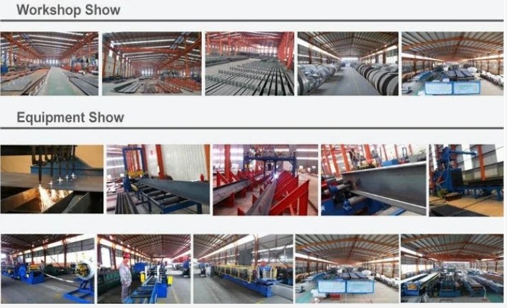 Qingdao Xinguangzheng Husbandry Co.,  Ltd Fabrik Produktionslinie