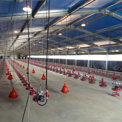 OEM-Floor-System für Broiler 380V