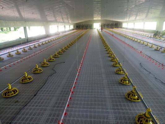 OEM-Floor-System für Broiler 380V