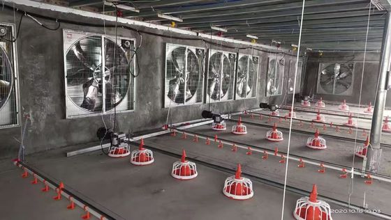 OEM-Floor-System für Broiler 380V