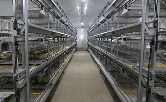 ISO Broiler Hühnerkäfig-System