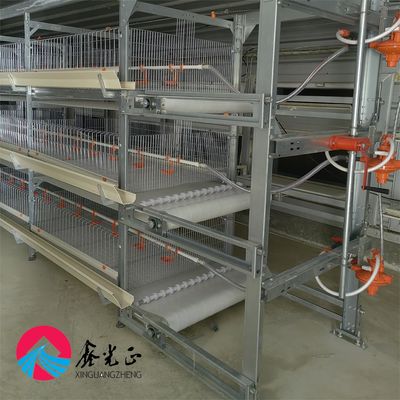 Vorgefertigte Stahlkonstruktion Hühnerhaus mit Sandwich-Dach