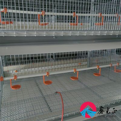 EPS-Isoliertes Hühnerfarmhaus mit Aluminiumlegierungsfenstern