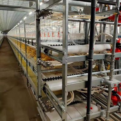 Industrielle Viehzucht Stahlkonstruktion Bauernhof Haus Verwendung Farbplatten