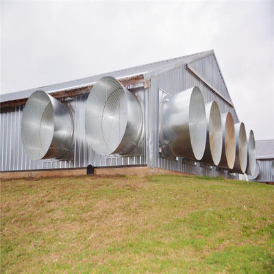 Sandwich-Panel Viehzucht Bauernhaus