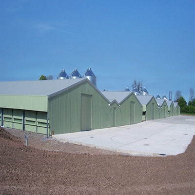 SGS Viehzuchthof Haus Fertigwerk Automatisches Stahlrahmen Hühnerstall