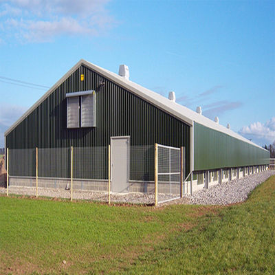 SGS Viehzuchthof Haus Fertigwerk Automatisches Stahlrahmen Hühnerstall