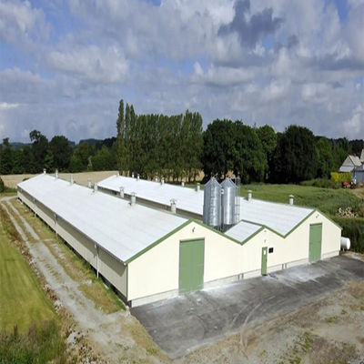 SGS Viehzuchthof Haus Fertigwerk Automatisches Stahlrahmen Hühnerstall