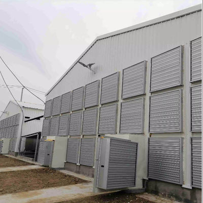 OEM-Standard-Fleischhaus Stahlkonstruktion mit gleitenden Fenstern