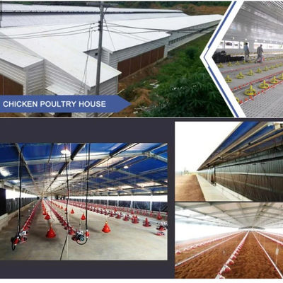 H-Abschnitt Stahl-Vorgefertigtes Viehzuchthaus mit PVC-Dämmung