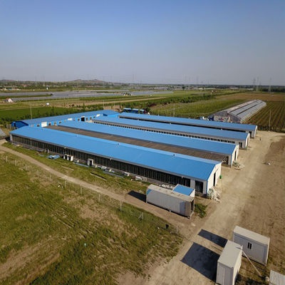 Geflügelfarm Hühnerhaus Leichtfertigung Stahlkonstruktion