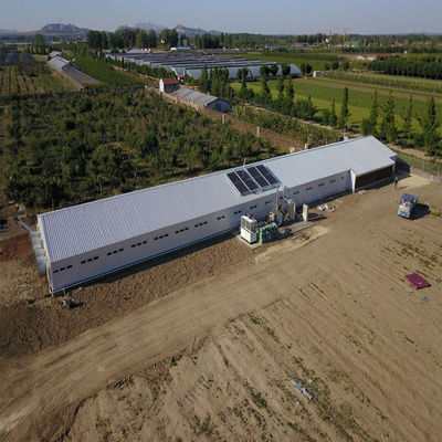 Geflügelfarm Hühnerhaus Leichtfertigung Stahlkonstruktion