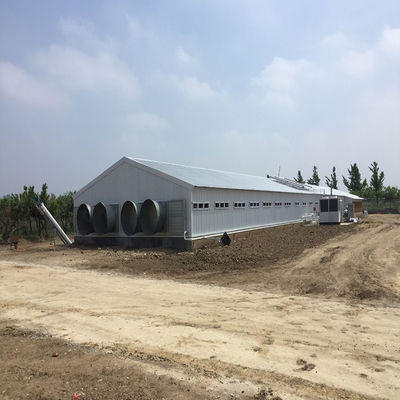 Geflügelfarm Hühnerhaus Leichtfertigung Stahlkonstruktion