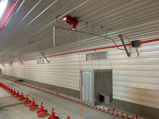 H-Abschnitt Stahl gewerbliche Hühnerhütte Vorgefertigte Stahlkonstruktion