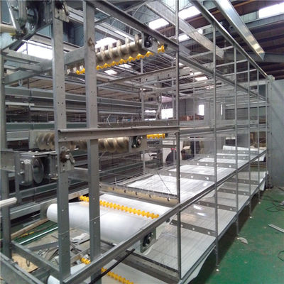 H Rahmenkäfig-Design Automatisches Fütterungssystem für Broiler für fortgeschrittene Farmen