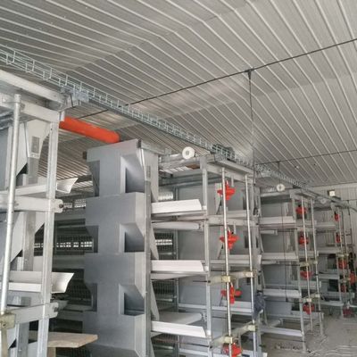 Hühnerkäfigsystem 230M*56M für das Herkunftsland