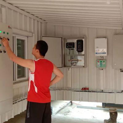 Automatisches Fütterungssystem für Broiler Die ideale Lösung für Geflügelfarmen