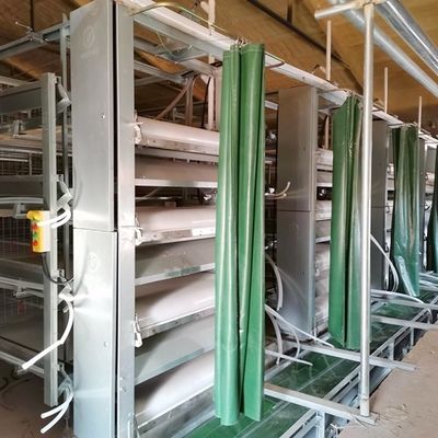 Niedrige Flexibilität Broiler Hühnerkäfig System sehr schlankes und modernes Design