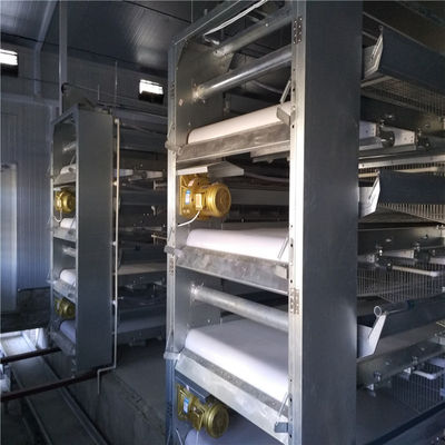 Automatisches Fütterungssystem für Broiler mit elektrostatischem Sprühen