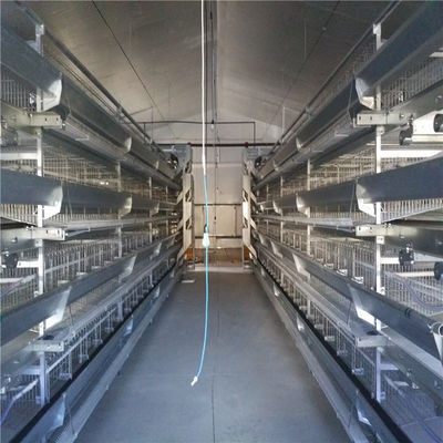 Automatisches Fütterungssystem für Broiler mit elektrostatischem Sprühen
