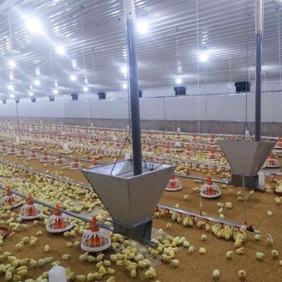 Langlebiges Fleisch-Hühnchen-Bodensystem mit Korrosionsbeständigkeit / Kunststoffmaterialien