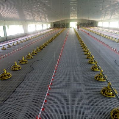 Standards für eine überlegene Leistungsfähigkeit des Rutschsicherungssystems für Broiler