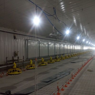 Standards für eine überlegene Leistungsfähigkeit des Rutschsicherungssystems für Broiler
