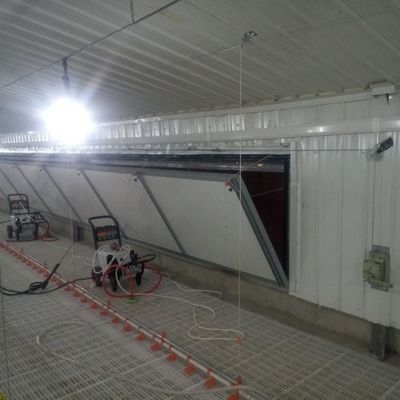 Standards für eine überlegene Leistungsfähigkeit des Rutschsicherungssystems für Broiler