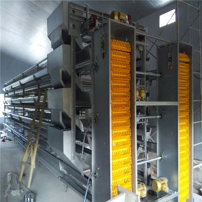 Hot Dip Galvanized Steel Automatic Egg Collection Hühnerkäfig mit Düngerentfernungssystem
