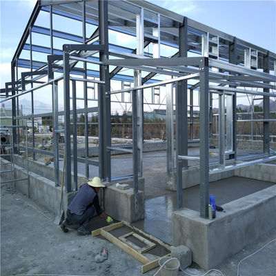 Hot Dip Galvanized Steel Automatic Egg Collection Hühnerkäfig mit Düngerentfernungssystem