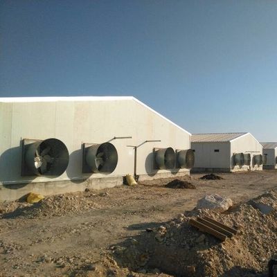 Vorgefertigtes Geflügelhaus mit Isolationsplatten