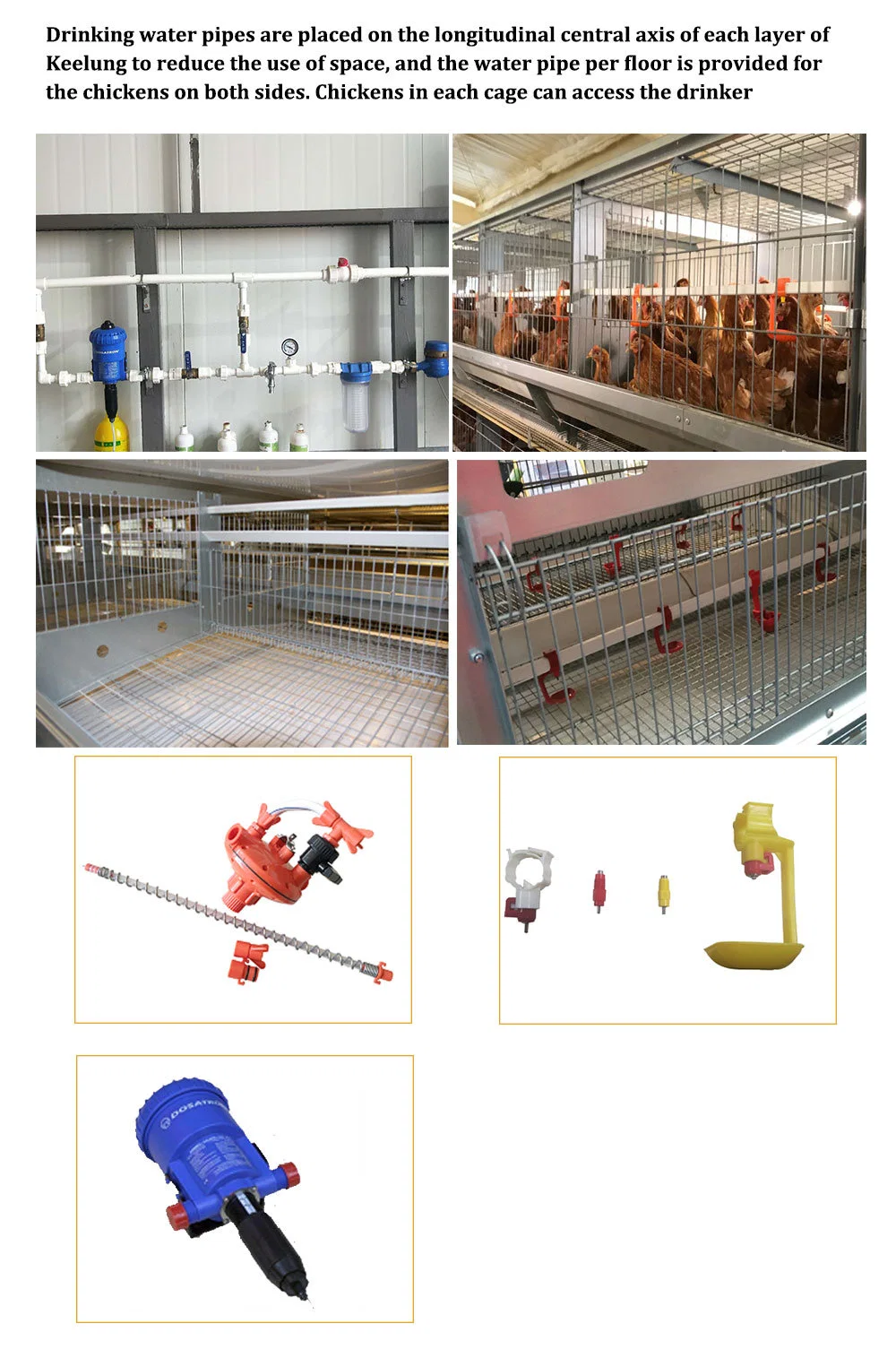 Stahlrahmen Eierschicht Hühnerkäfig OEM Hühner Hühnerkäfig 4