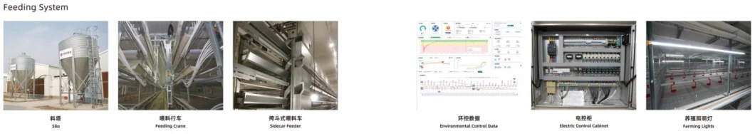ISO Broiler Hühnerkäfig-System 4