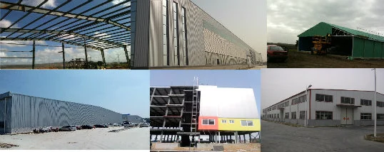 SGS Viehzuchthof Haus Fertigwerk Automatisches Stahlrahmen Hühnerstall 5