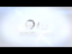 Stahlkonstruktions-Werkstatt